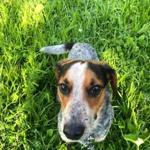 Meet your Posher, Kendra